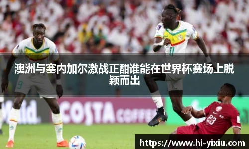 boyu博鱼手机最新版本